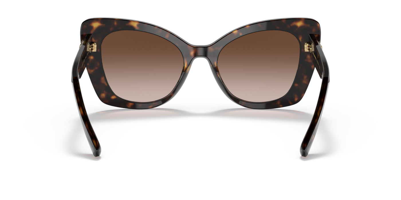 Anteojos de Sol Dolce & Gabbana DG4405  TRT SHN BRN G