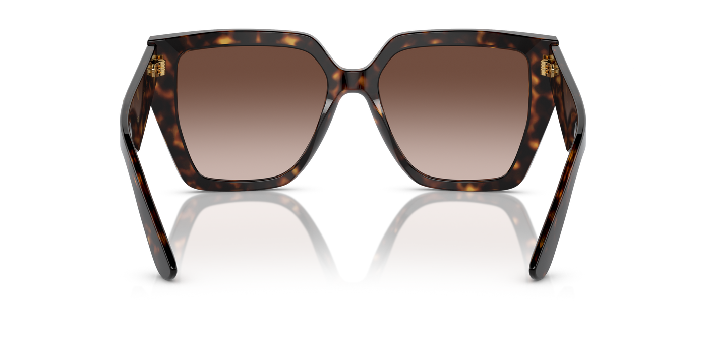 Anteojos de Sol Dolce & Gabbana DG4438  TRT SHN BRN G