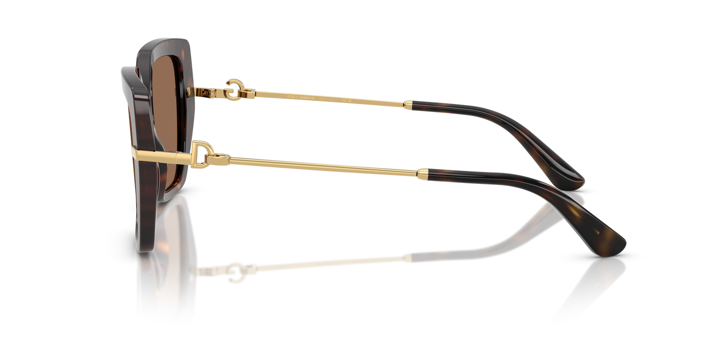 Anteojos de Sol Dolce & Gabbana DG4474  TRT SHN BRN