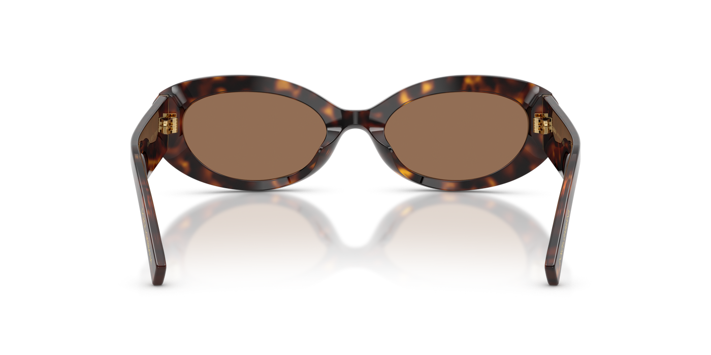 Anteojos de Sol Dolce & Gabbana DG4537  TRT SHN BRN