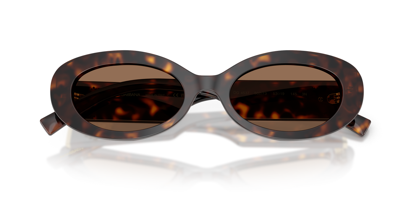 Anteojos de Sol Dolce & Gabbana DG4537  TRT SHN BRN