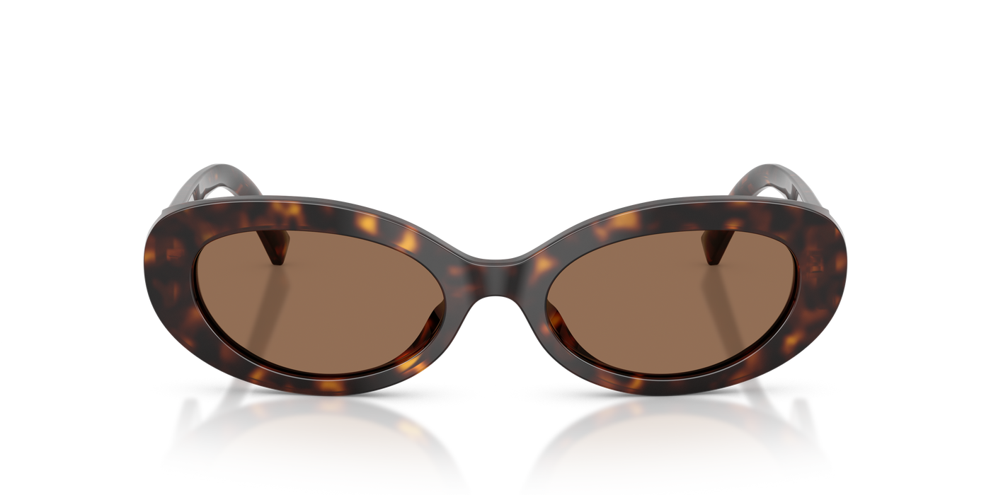 Anteojos de Sol Dolce & Gabbana DG4537  TRT SHN BRN