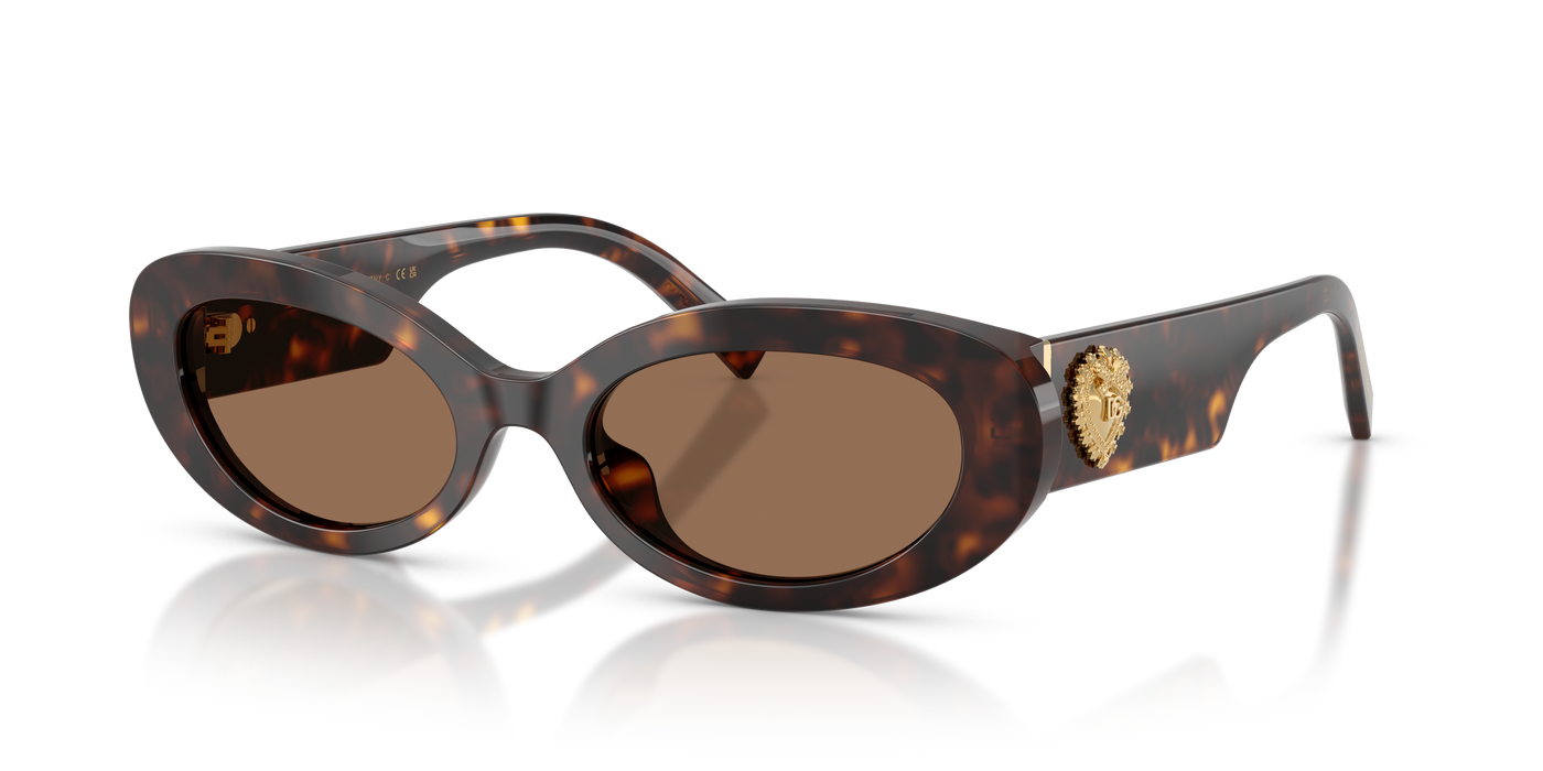 Anteojos de Sol Dolce & Gabbana DG4537  TRT SHN BRN
