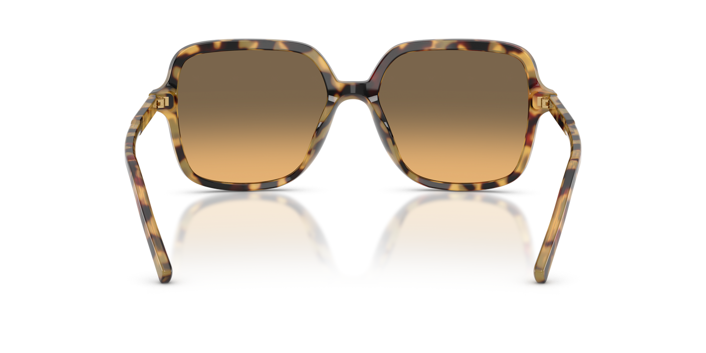 Anteojos de Sol Dolce & Gabbana DG4539  YLW SHN GRY G