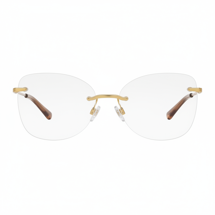 Armazones Jean Monnier J81217 M652, 52/16
