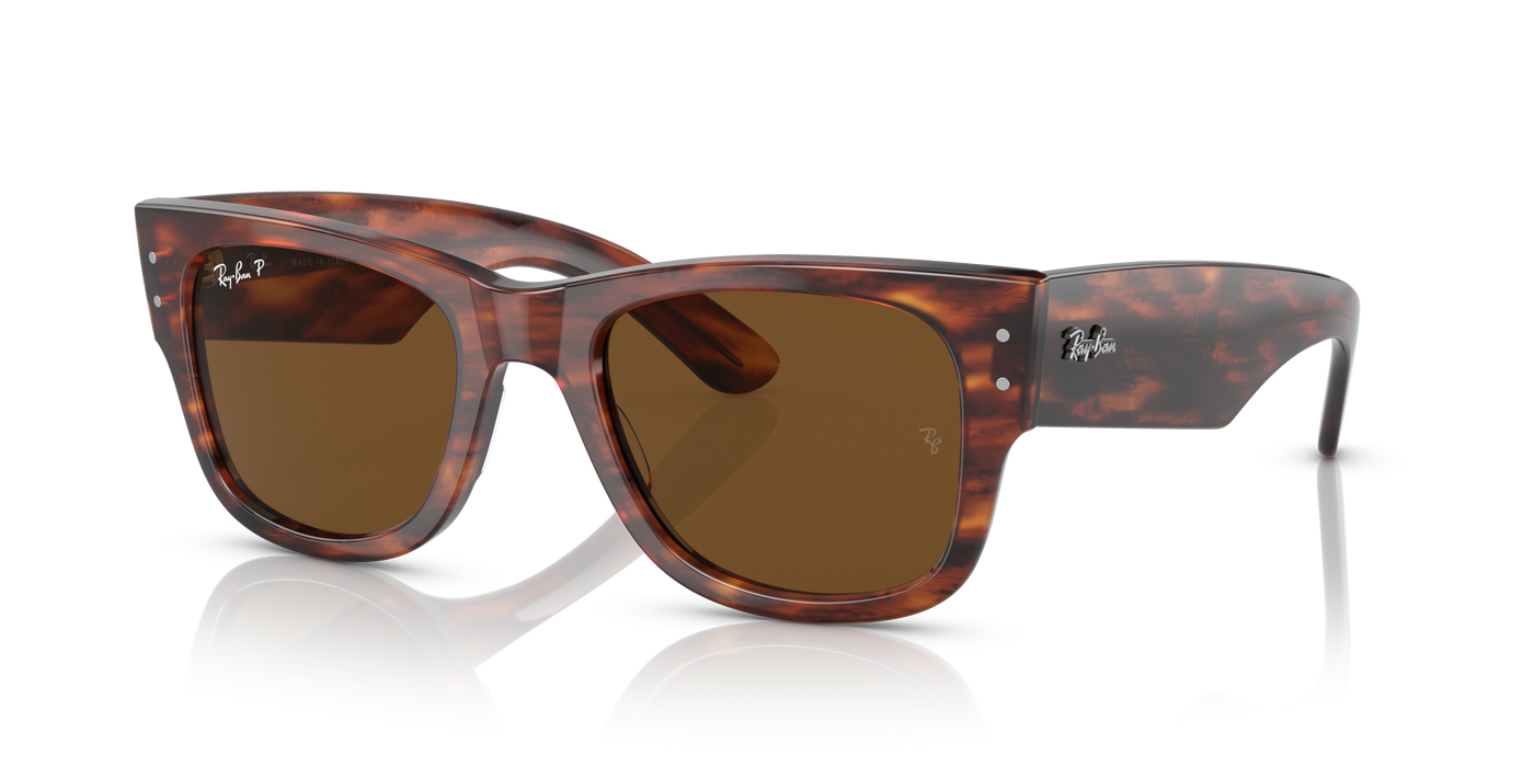Anteojos de Sol Ray Ban Mega Wayfarer RB0840S Polarizado Mas Vision Argentina