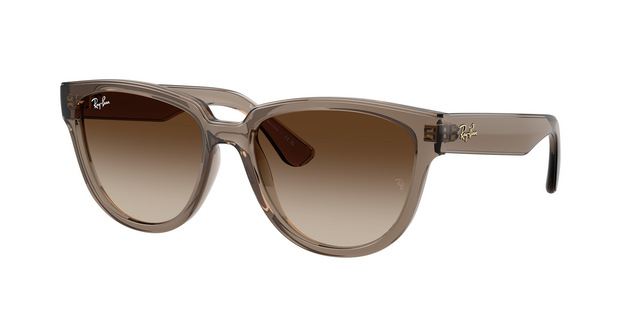 Anteojos de Sol Ray-Ban 4463L