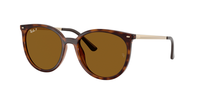 Anteojos de Sol Ray-Ban RB4464L Polarizado