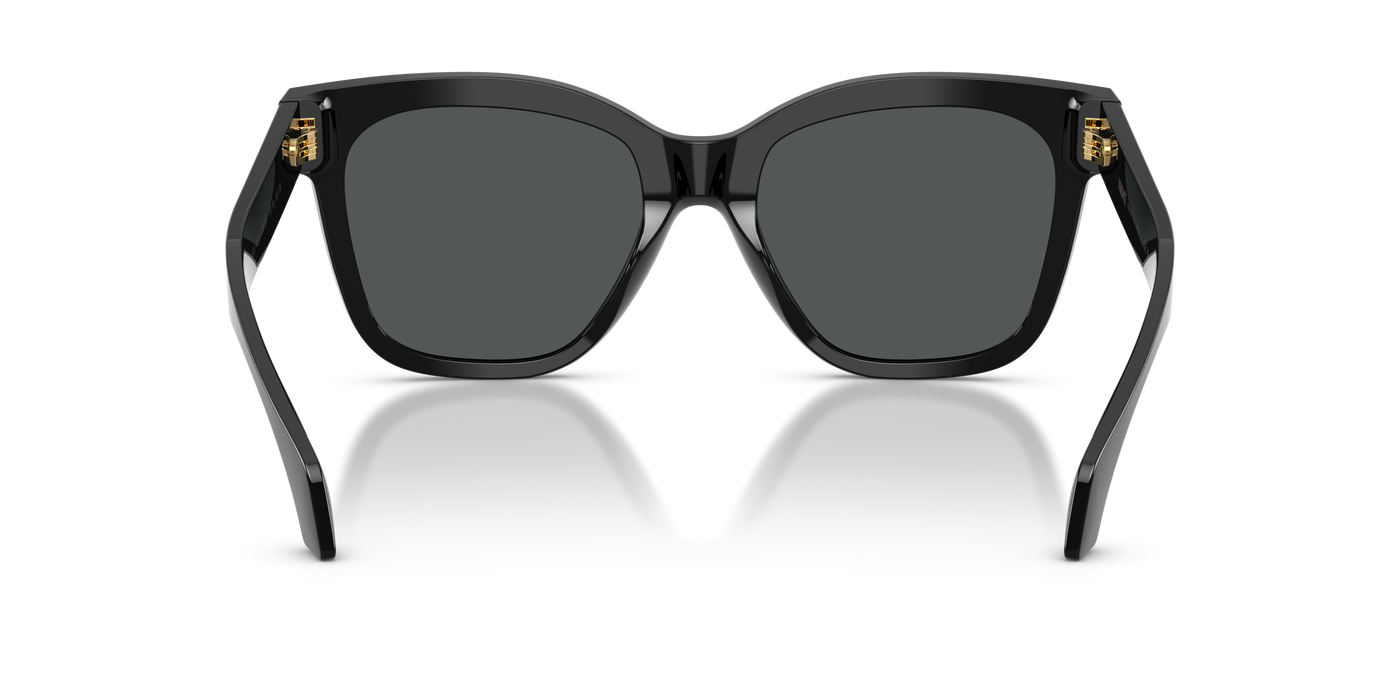Anteojos de Sol Versace VE4511  BLK SHN GRY