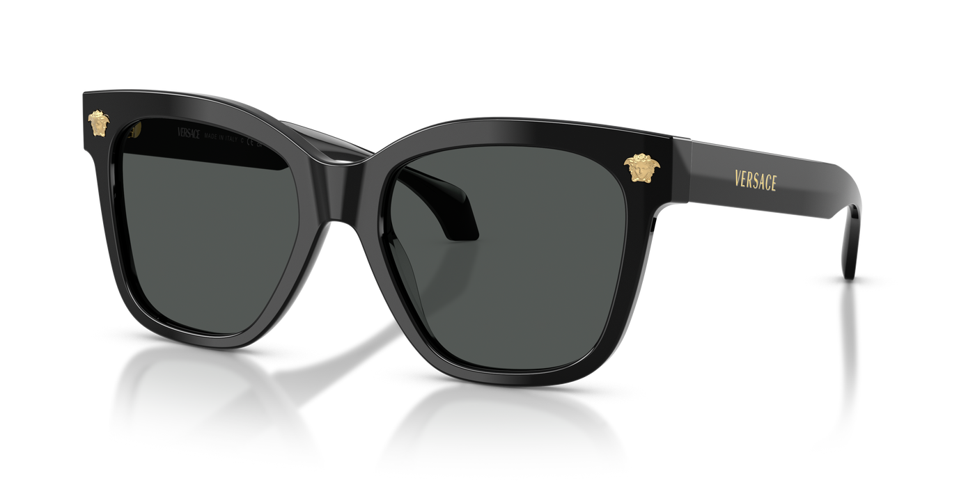 Anteojos de Sol Versace VE4511  BLK SHN GRY