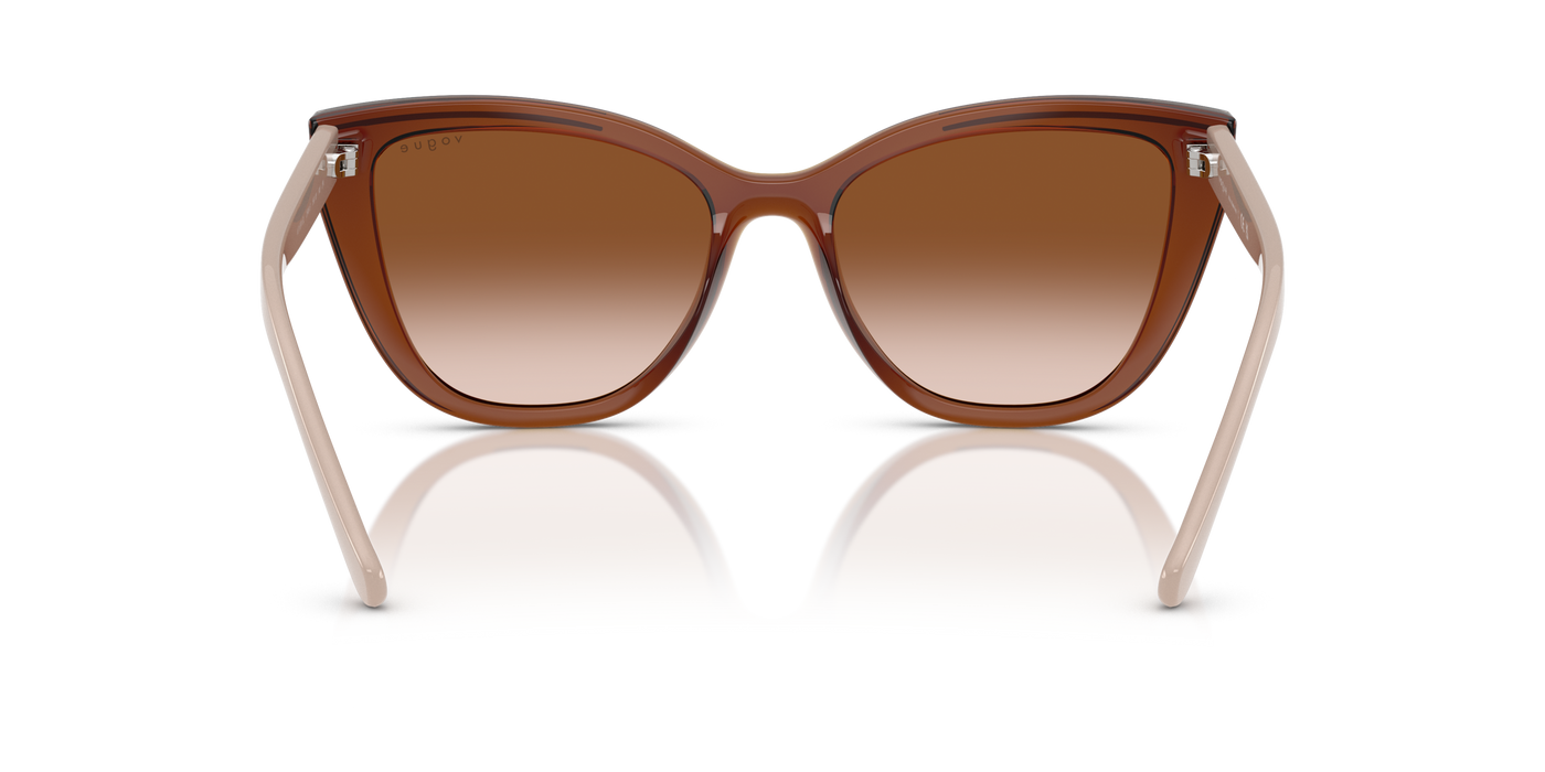 Anteojos de Sol Vogue Eyewear VO5591SL, 1AT2006A00