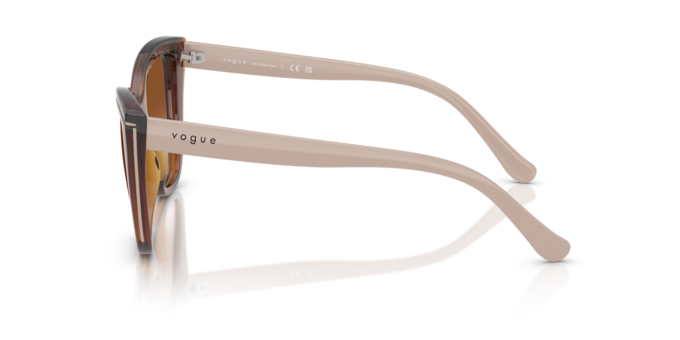 Anteojos de Sol Vogue Eyewear VO5591SL, 1AT2006A00