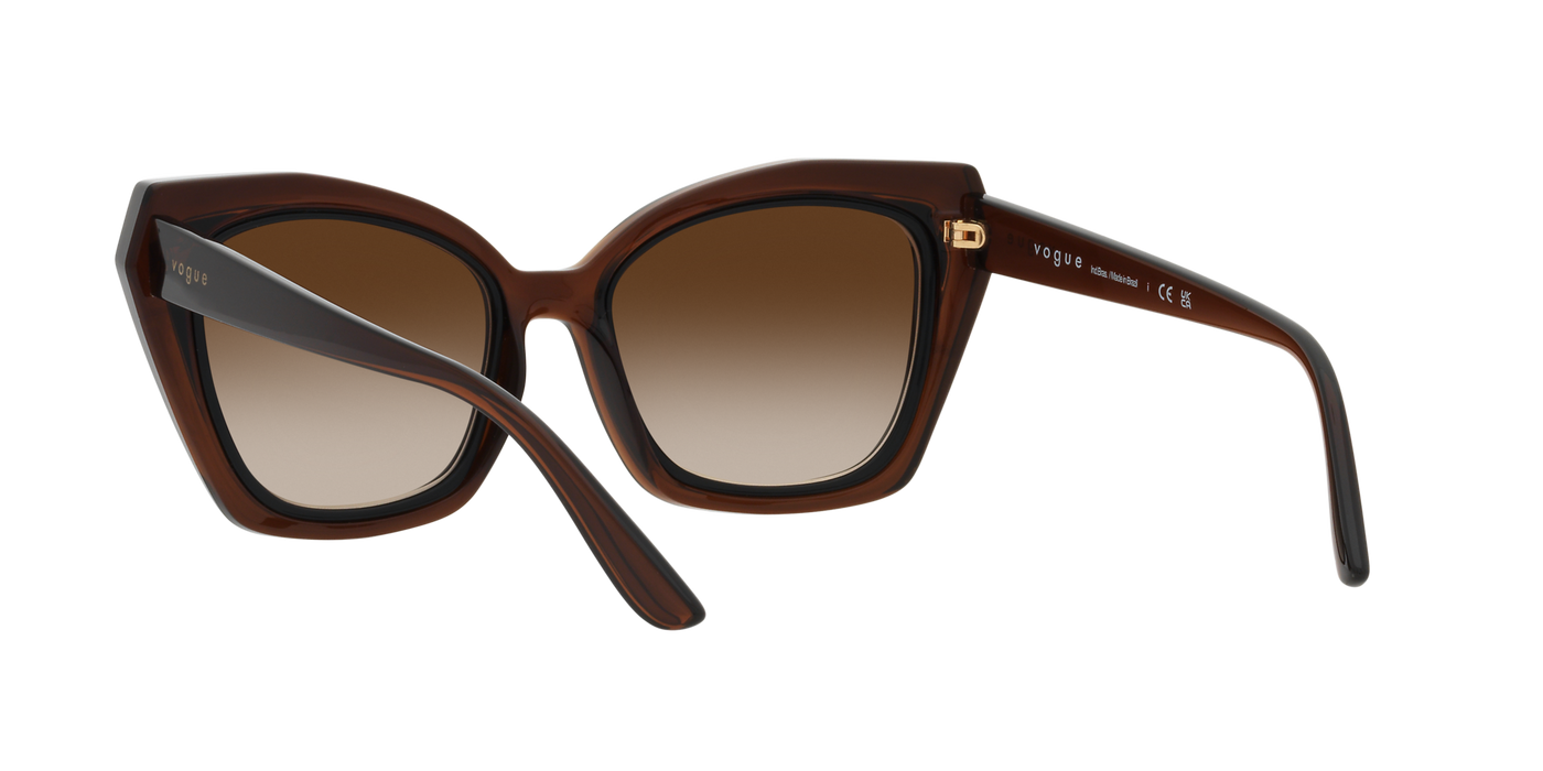 Anteojos de Sol Vogue VO5505SL  BRN SHN BRN G