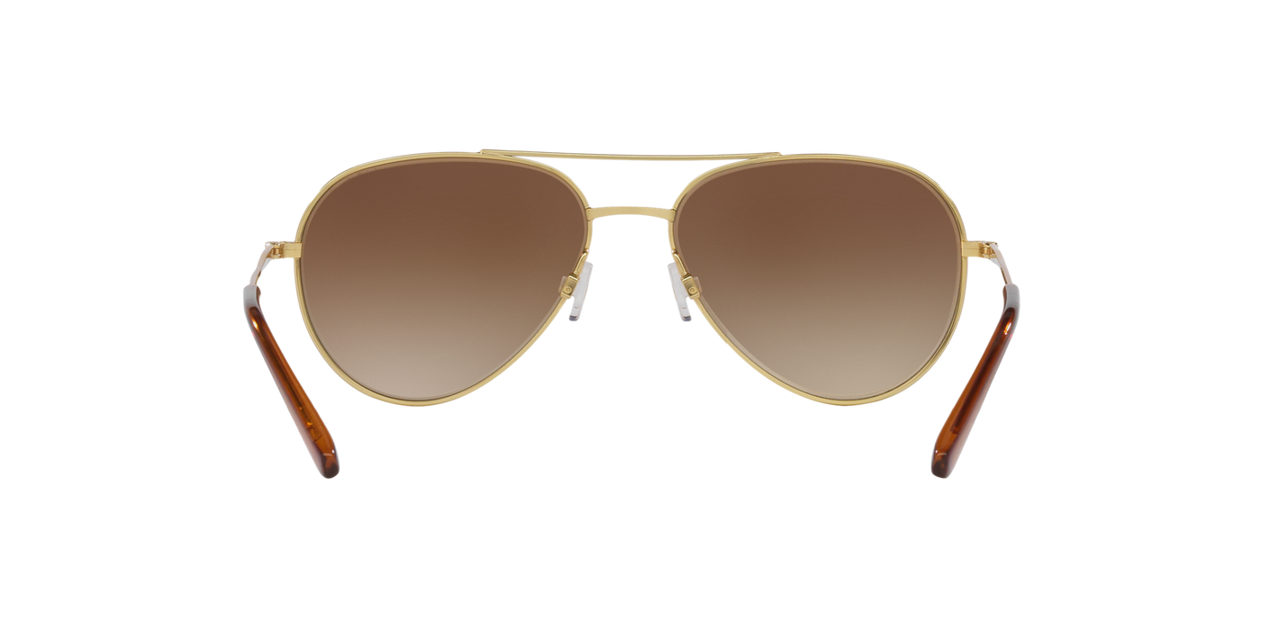 Anteojos de Sol Jack Pacific JK3009, GLD SHN BRN G