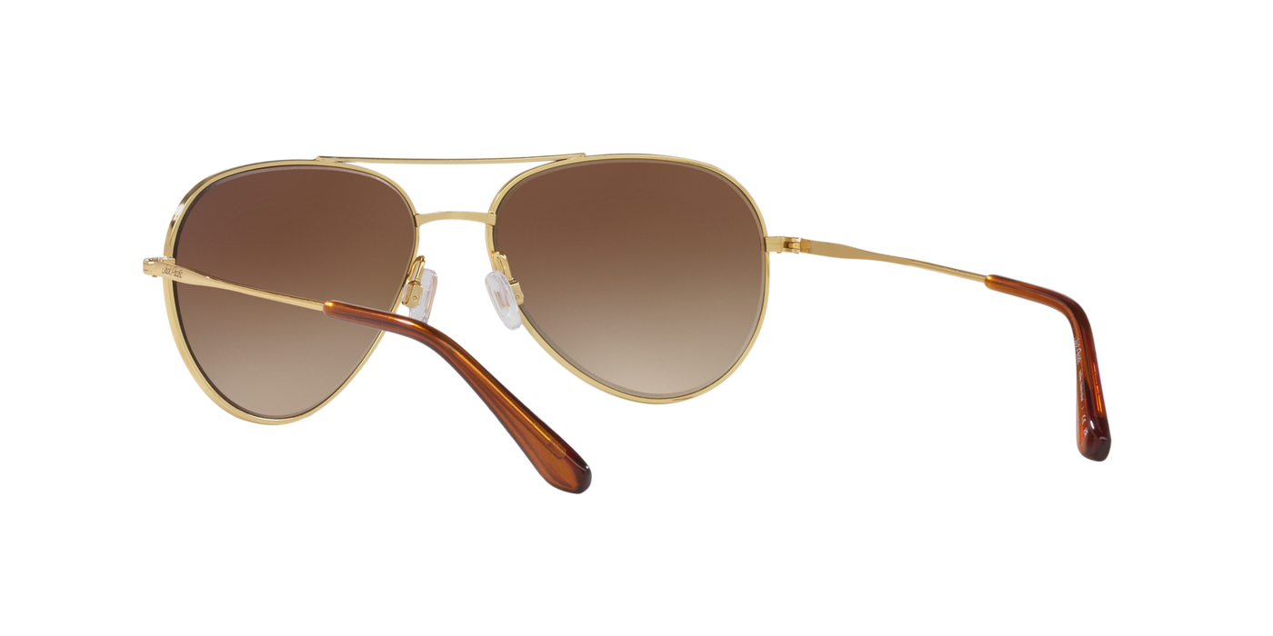 Anteojos de Sol Jack Pacific JK3009, GLD SHN BRN G