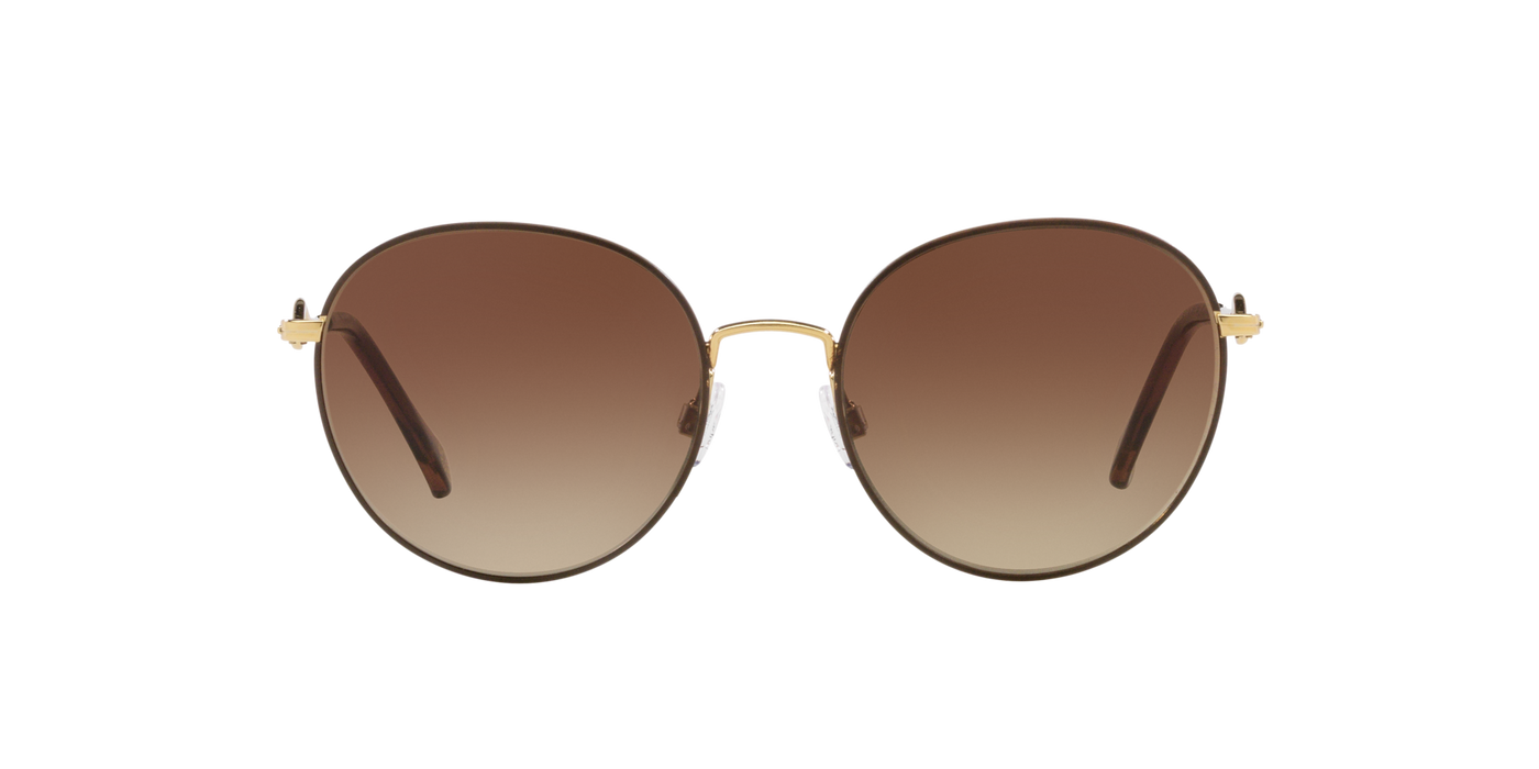 Anteojos de Sol Kipling KP2028 BRN SHN BRN G