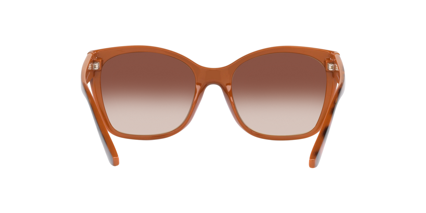 Anteojos de Sol Jack Pacific JK1036M, TRT SHN BRN G