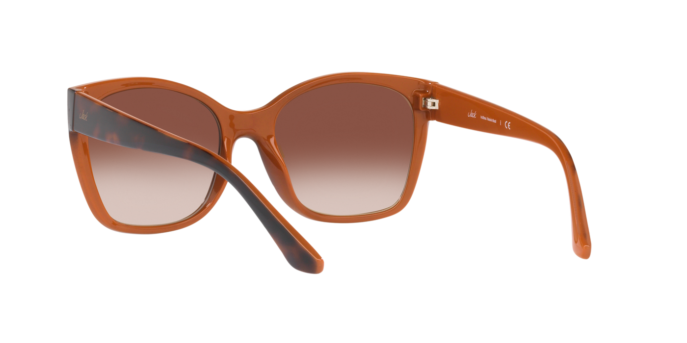 Anteojos de Sol Jack Pacific JK1036M, TRT SHN BRN G