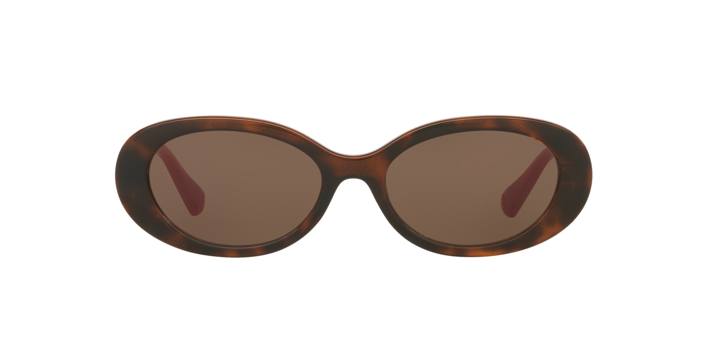 Anteojos de Sol Kipling KP4083 TRT SHN BRN