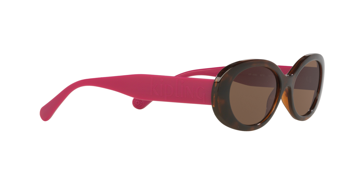 Anteojos de Sol Kipling KP4083 TRT SHN BRN