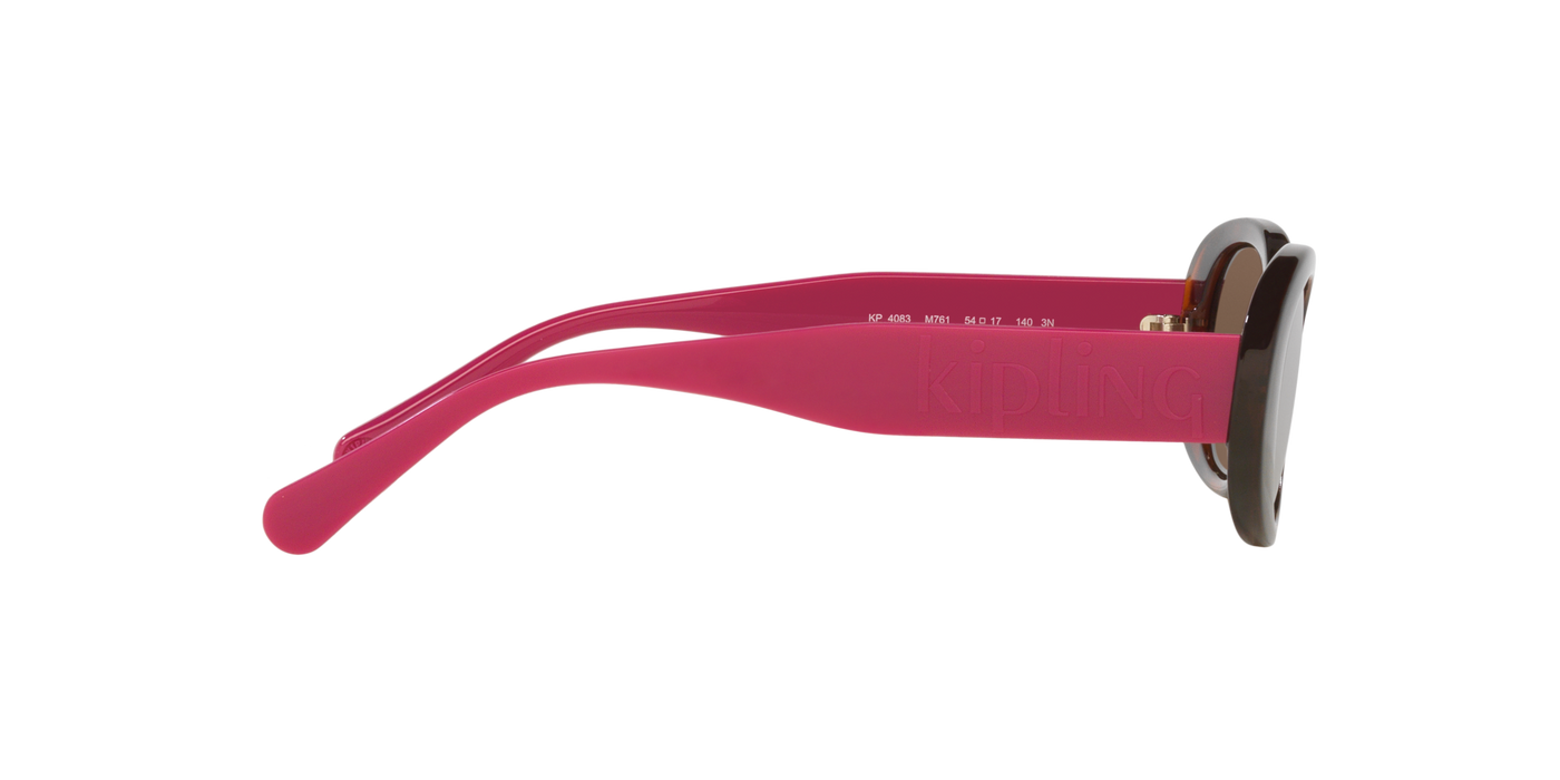 Anteojos de Sol Kipling KP4083 TRT SHN BRN