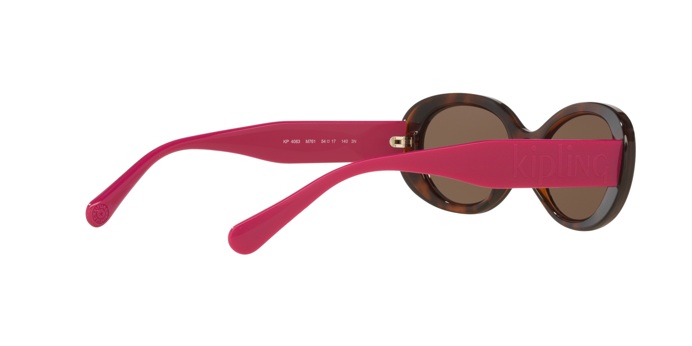 Anteojos de Sol Kipling KP4083 TRT SHN BRN