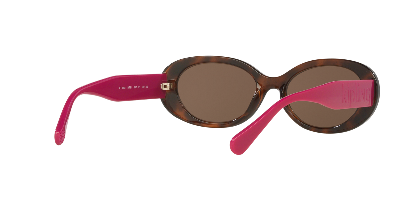 Anteojos de Sol Kipling KP4083 TRT SHN BRN