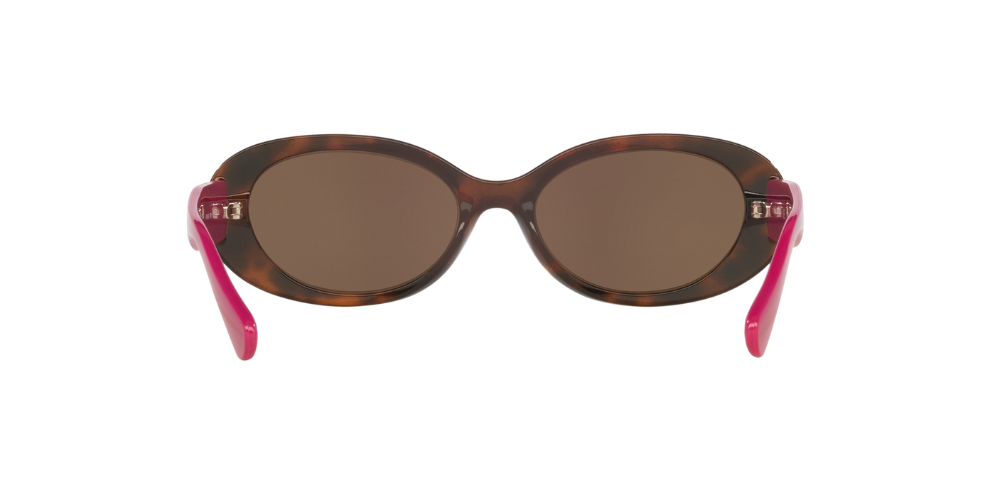 Anteojos de Sol Kipling KP4083 TRT SHN BRN