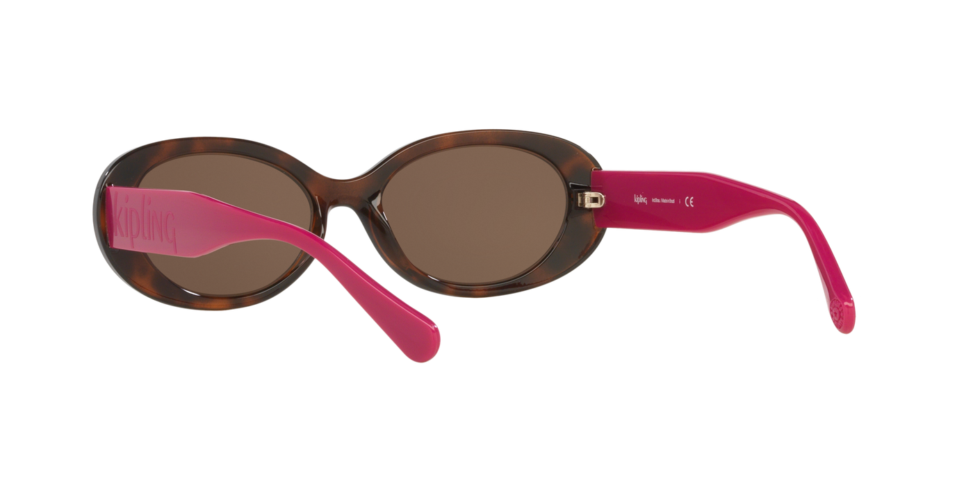 Anteojos de Sol Kipling KP4083 TRT SHN BRN