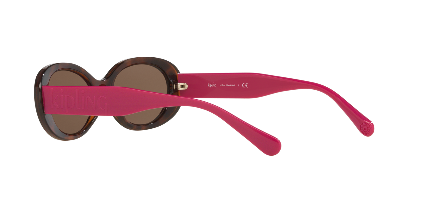 Anteojos de Sol Kipling KP4083 TRT SHN BRN