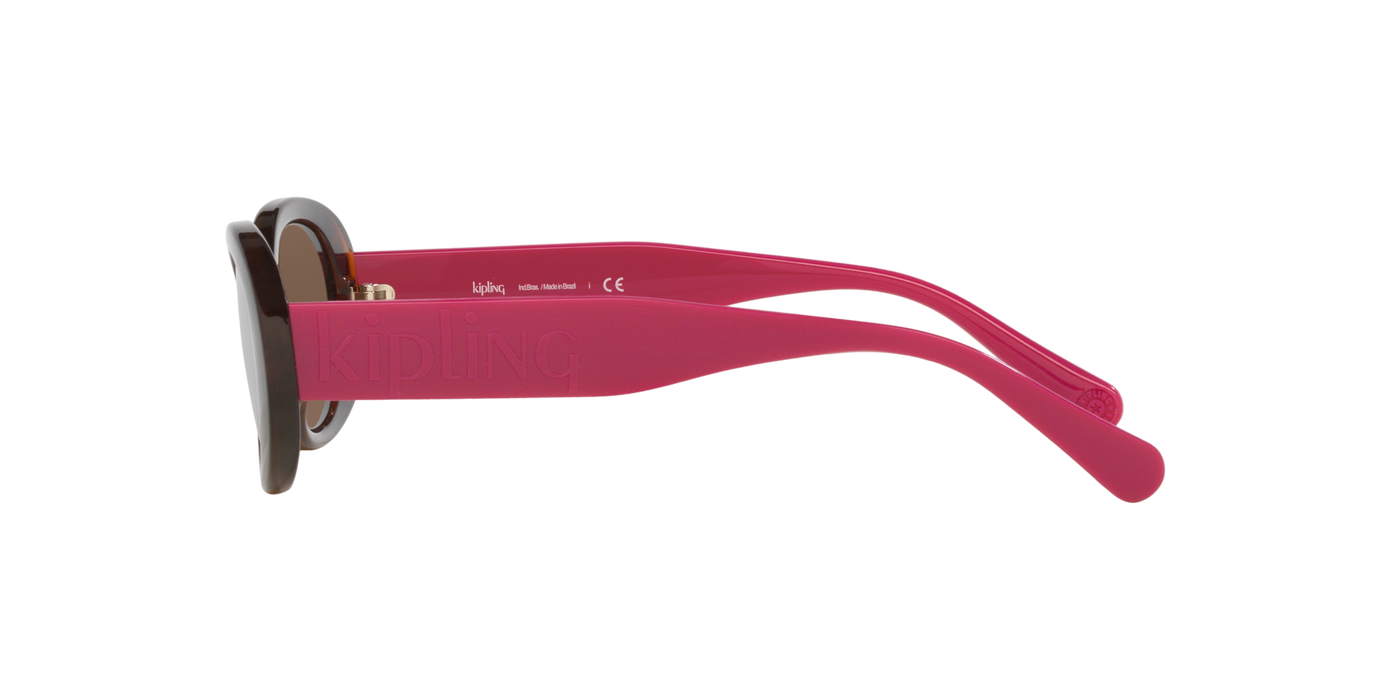 Anteojos de Sol Kipling KP4083 TRT SHN BRN