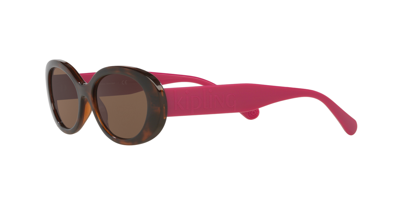 Anteojos de Sol Kipling KP4083 TRT SHN BRN