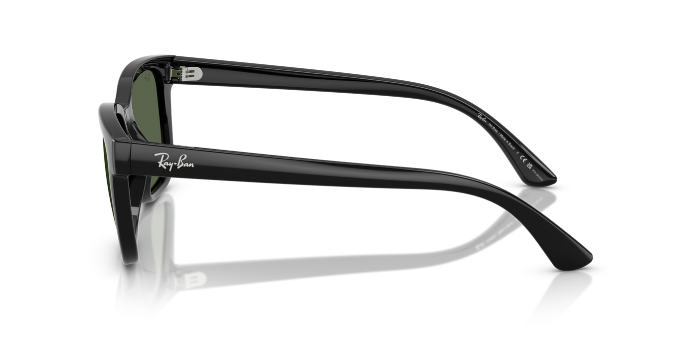 Anteojos de Sol Ray-Ban RB4448L BLK SHN GRN Polarizado
