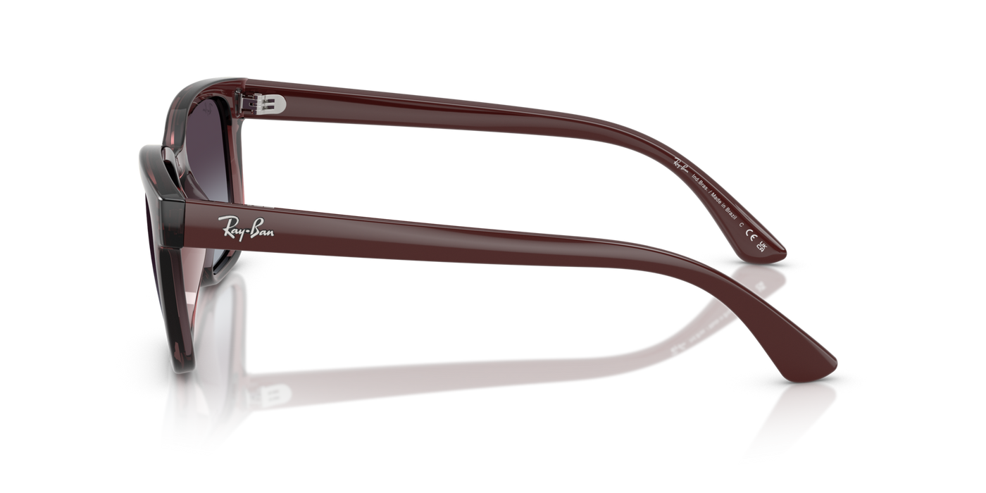Anteojos de Sol Ray-Ban RB4448L BRN SHN GRY G
