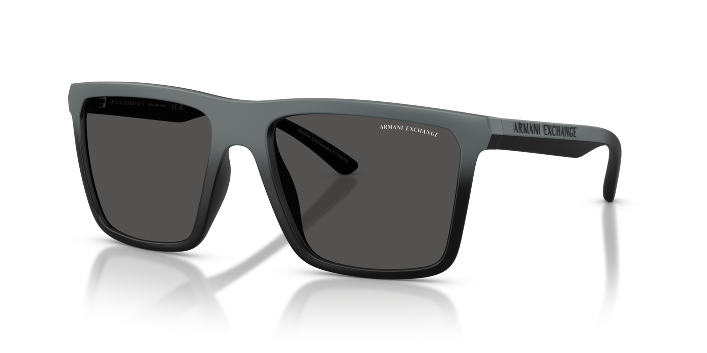 Anteojos de Sol Armani Exchange AX4162SU BLK MT GRY