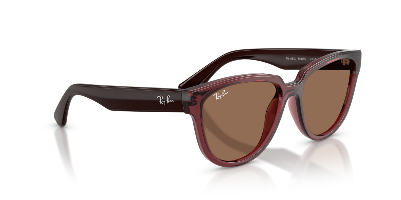 Anteojos de Sol Ray-Ban RB4463L BRN SHN BRN