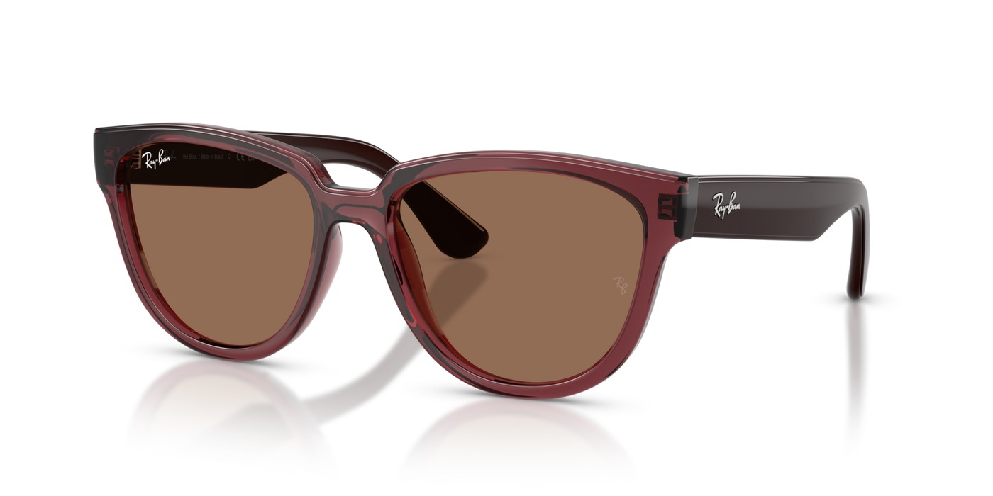 Anteojos de Sol Ray-Ban RB4463L BRN SHN BRN