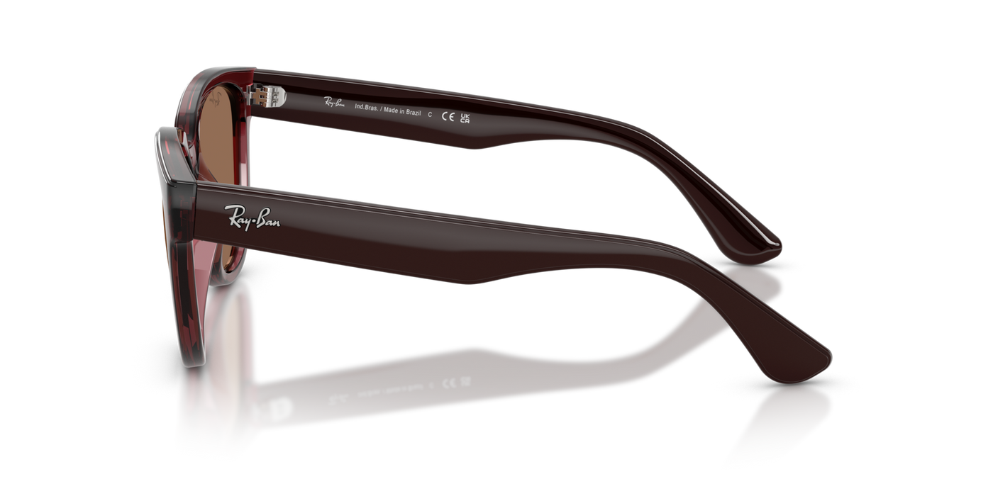 Anteojos de Sol Ray-Ban RB4463L BRN SHN BRN
