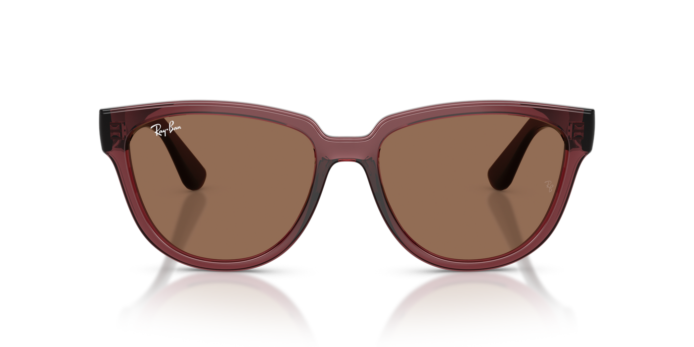Anteojos de Sol Ray-Ban RB4463L BRN SHN BRN