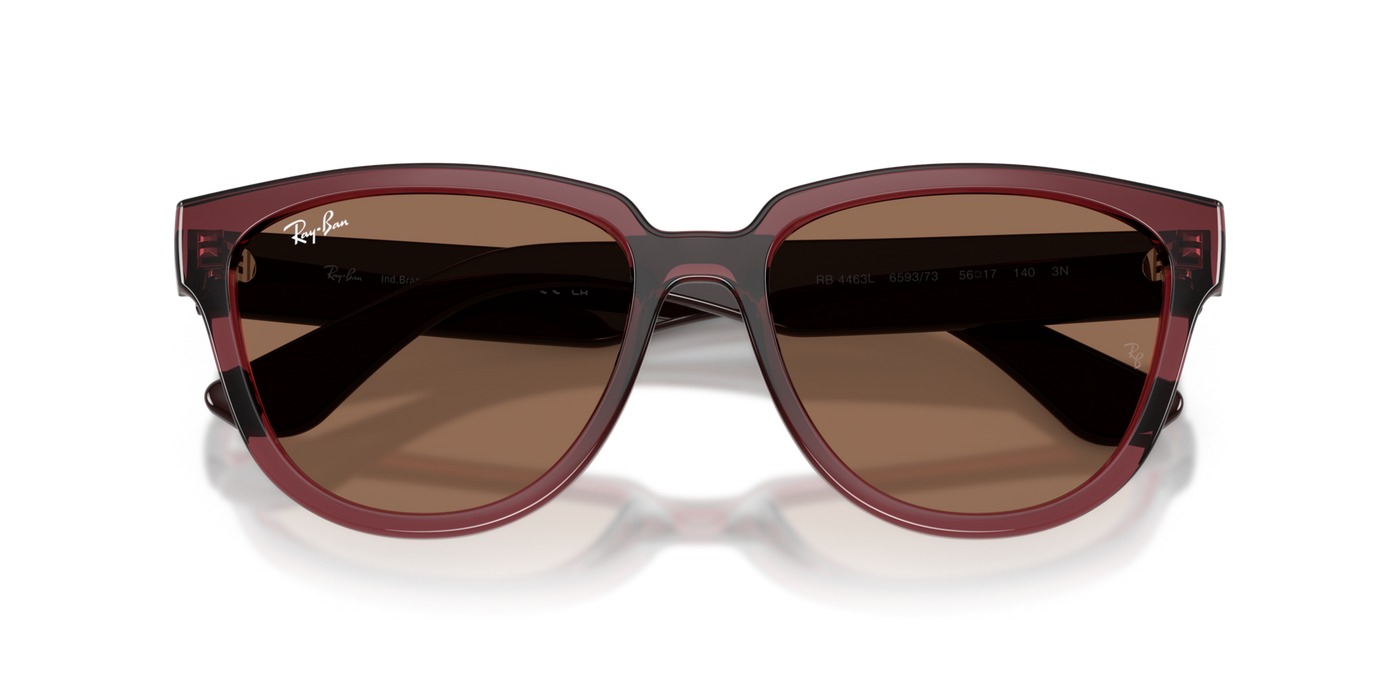 Anteojos de Sol Ray-Ban RB4463L BRN SHN BRN