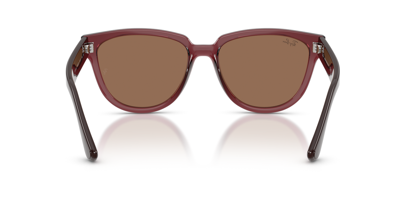 Anteojos de Sol Ray-Ban RB4463L BRN SHN BRN