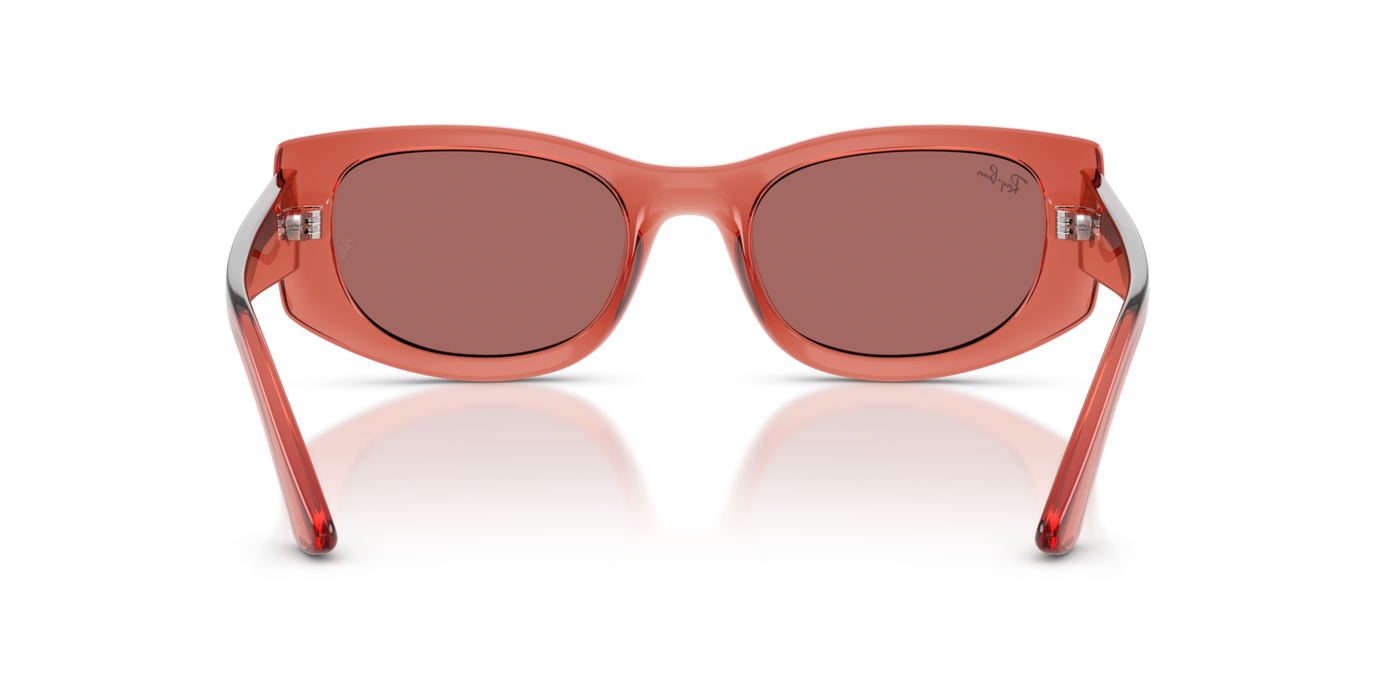 Anteojos de Sol Ray-Ban RB4446L PNK SHN VLT