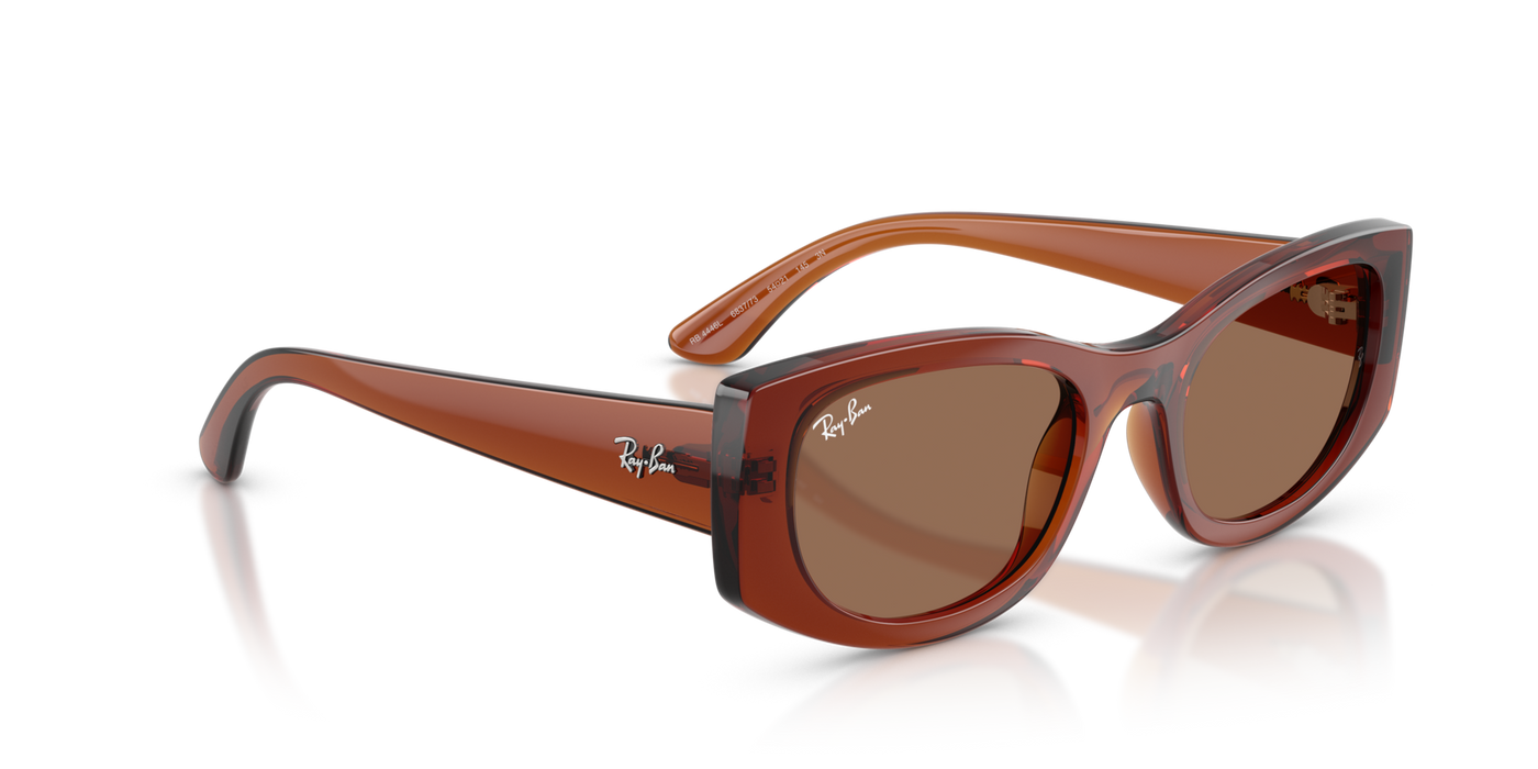 Anteojos de Sol Ray-Ban 4446L BRN SHN BRN
