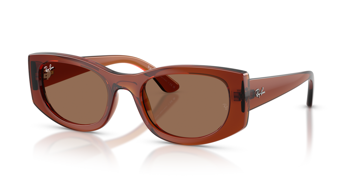 Anteojos de Sol Ray-Ban 4446L BRN SHN BRN