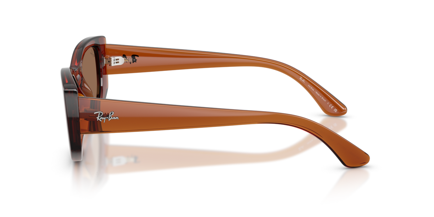 Anteojos de Sol Ray-Ban 4446L BRN SHN BRN