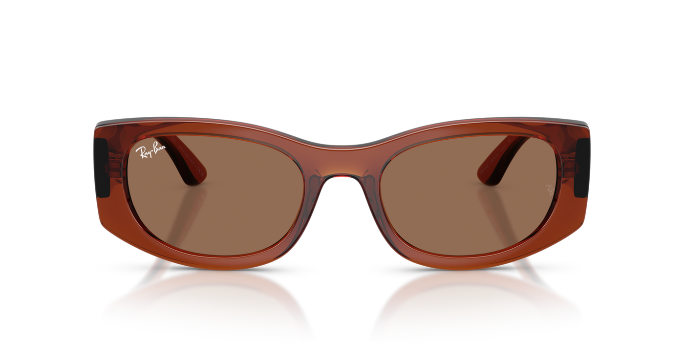 Anteojos de Sol Ray-Ban 4446L BRN SHN BRN
