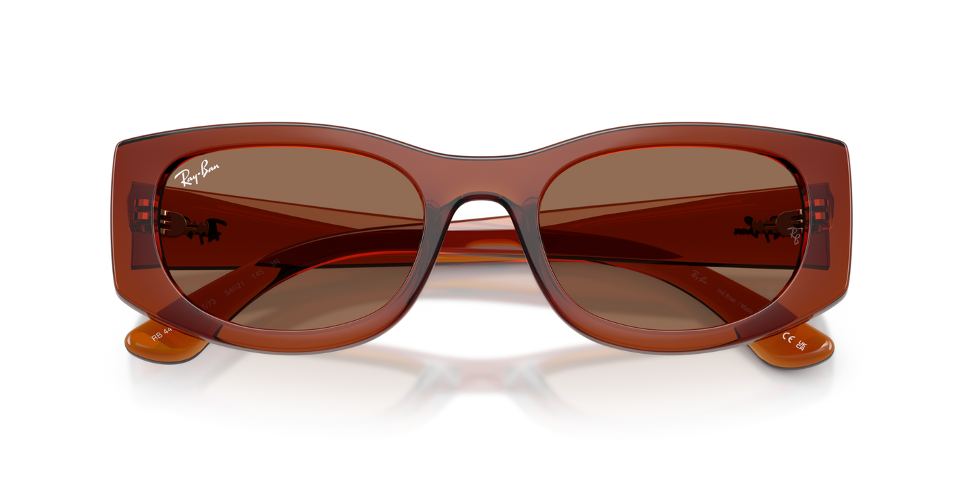 Anteojos de Sol Ray-Ban 4446L BRN SHN BRN