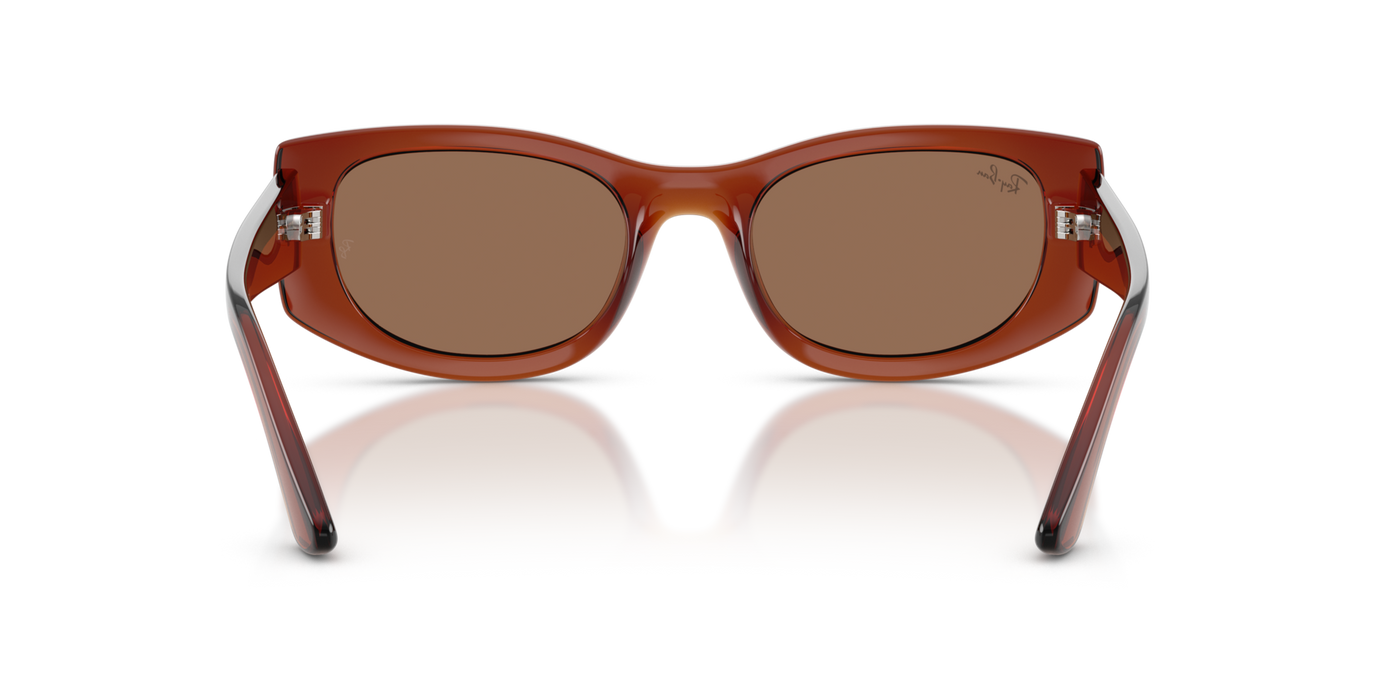 Anteojos de Sol Ray-Ban 4446L BRN SHN BRN
