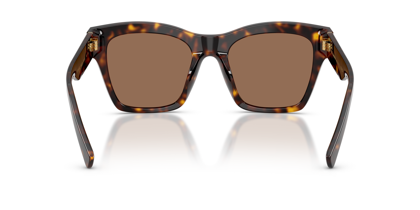 Anteojos de Sol Dolce & Gabbana DG4512  TRT SHN BRN