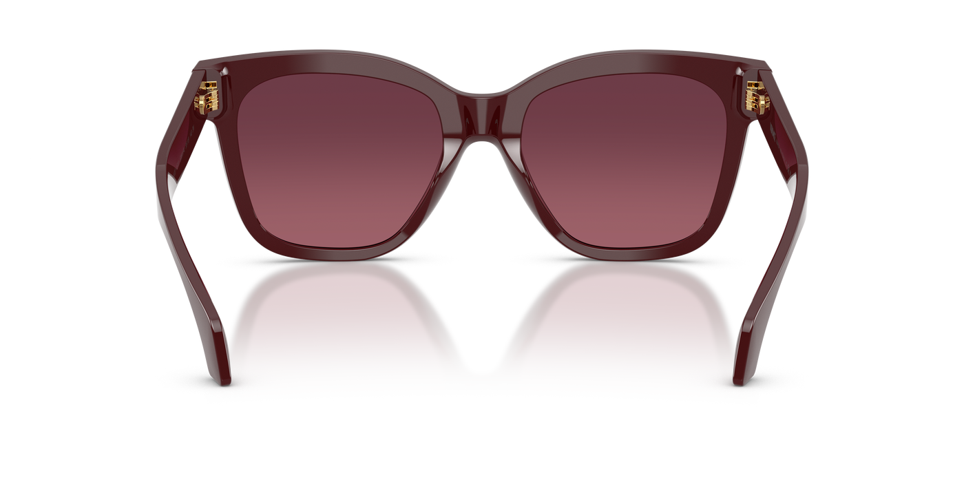 Anteojos de Sol Versace VE4511  BRD SHN PNK G